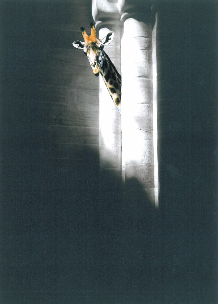 KIKE Collagen - Eigentlich gehöre ich hier nicht hin