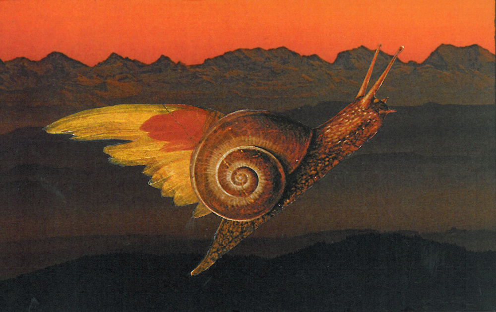 KIKE Collagen - Und sie fliegt doch